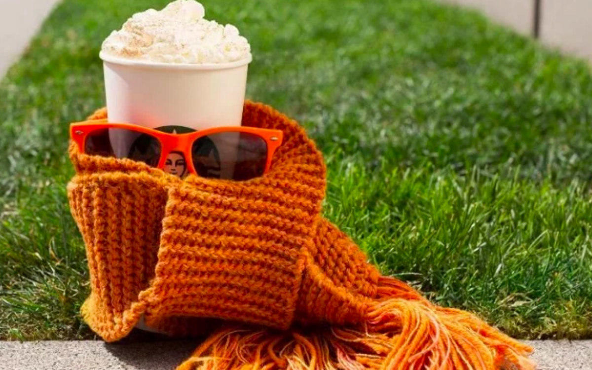 pumpkin spice lattes scarf and shades