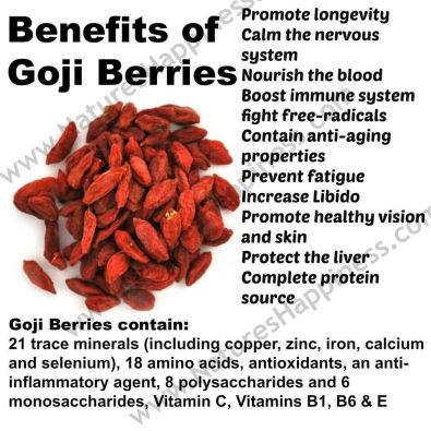 goji berries health benefits