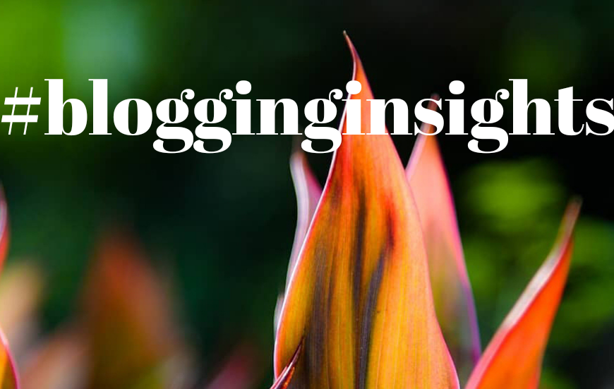 blogging insights banner